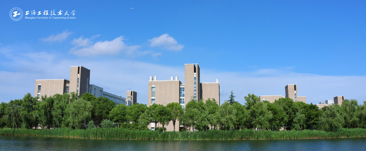  审核评估专家座谈会